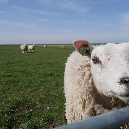 Logeren Op Nh Westerland