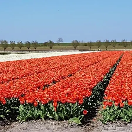 Logeren Op Nh * Westerland